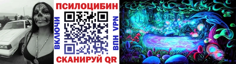 Псилоцибиновые грибы Psilocybe  Завитинск 